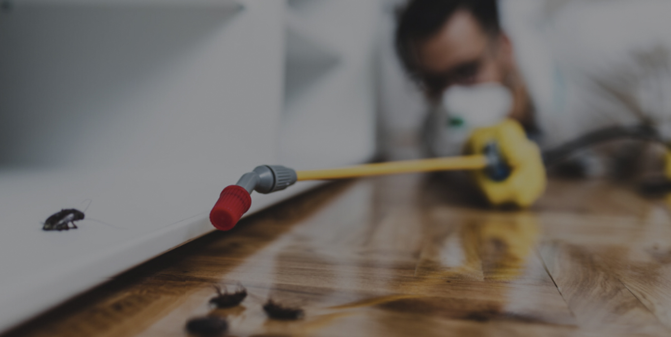 Pest Control Services Sydney Expert Warranty Sydney Pest Control Services