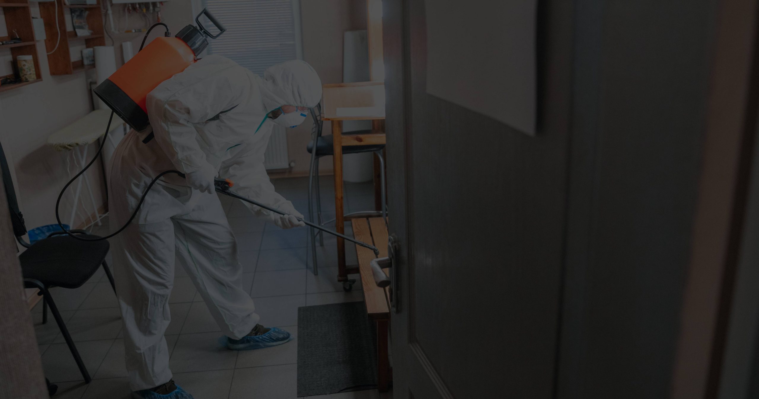 Residential Pest Control Sydney Ultra Pest Control